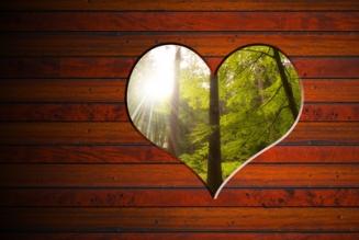 Forests love you