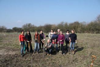 The Woodmark Group