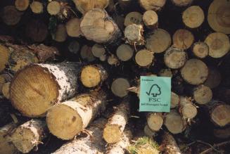 FSC log stack