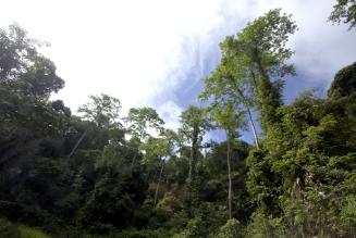 Dermakot Malaysia