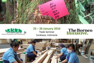 The Borneo Initiative