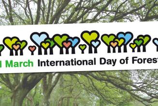 International Day of Forests