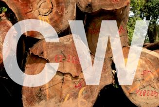 Controlled Wood (© FSC GD)
