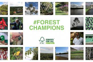 Forest Champions