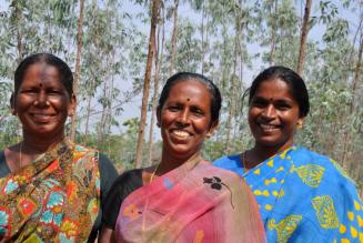 Smallholders