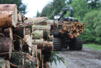 Logging UK