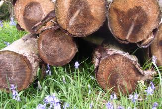 ®FSC UK - Breidden