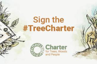 Tree Charter