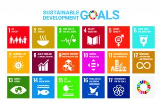 UN SDGs