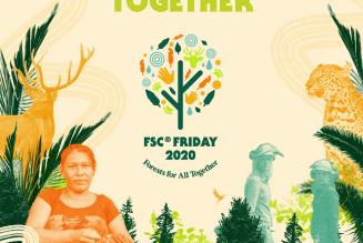 FSC Friday 2020