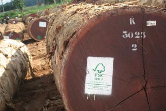 FSC Timber