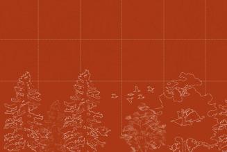 UKWAS Cover 4