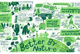 Better by nature scribe