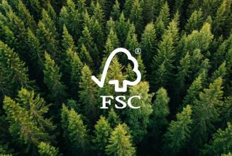 FSC logo (Globescan research)
