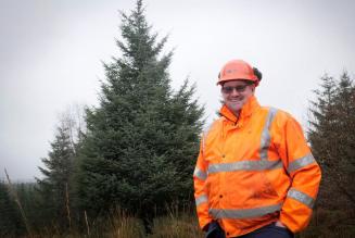 Forester Ian Green pictured just before the felling of the 2021 parliamentary Christmas tree in Kielder Forest