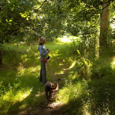 Savernake forest (c) FSC UK_M.More