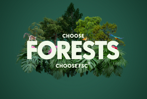 FSC Forest Week image