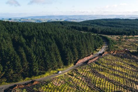 DJI_0010-2 (1).jpg