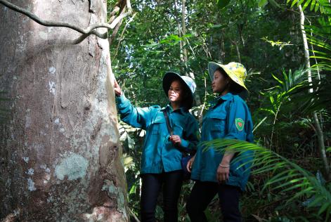 2022_COMMS_Chen Venh and Ho forest, Vietnam_community forests in Viet Nam_(c)FSC_Phan Tan Lam60.jpg