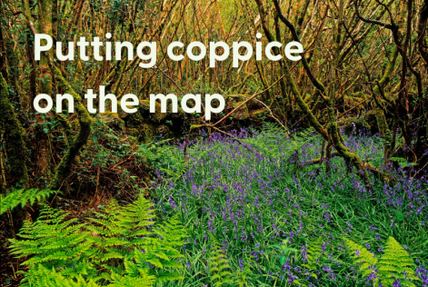 Coppice mapping project