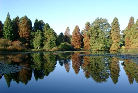 Make 2015 an FSC year