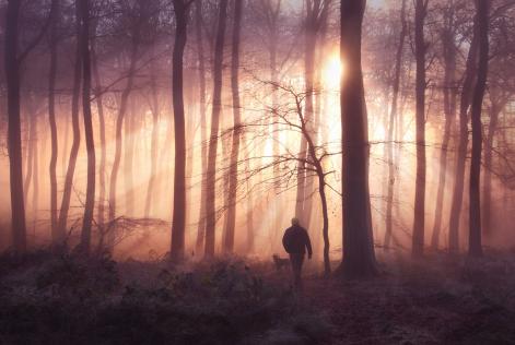 Places for People. Ceri Jones.