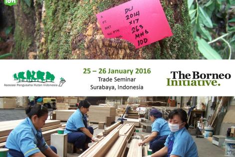 The Borneo Initiative