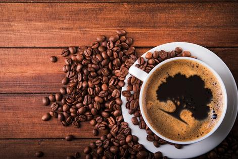 Is your morning coffee hurting the forest?