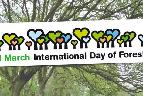 International Day of Forests