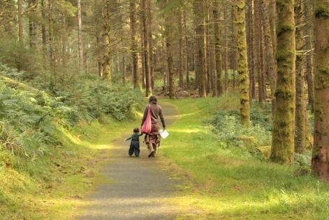 FSC Friday in Hafren Forest