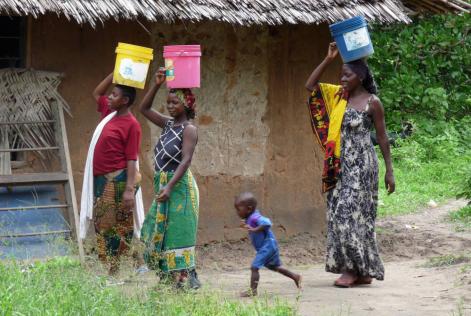 The little African tree with a big impact on people's lives