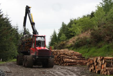 UK Forestry