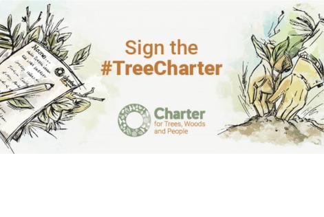 Tree Charter 2