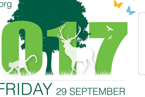 FSC Friday logo 2017