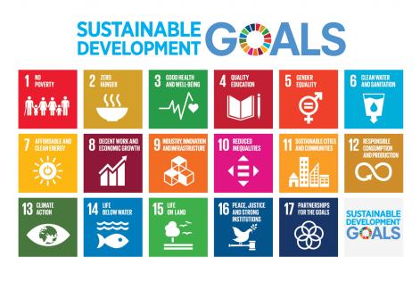 Sustainable Development Goals