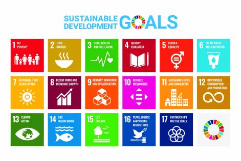 UN SDGs