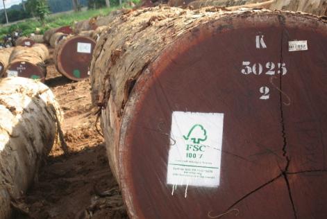 FSC Timber