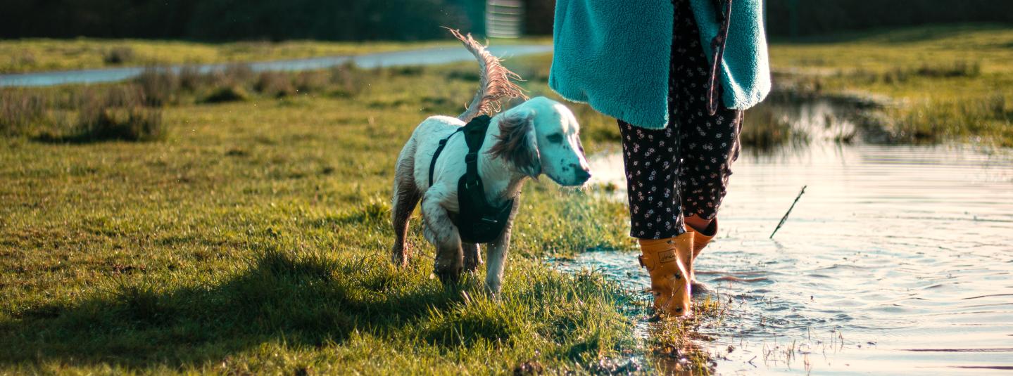 Woman walking in puddle wearing yellow wellies