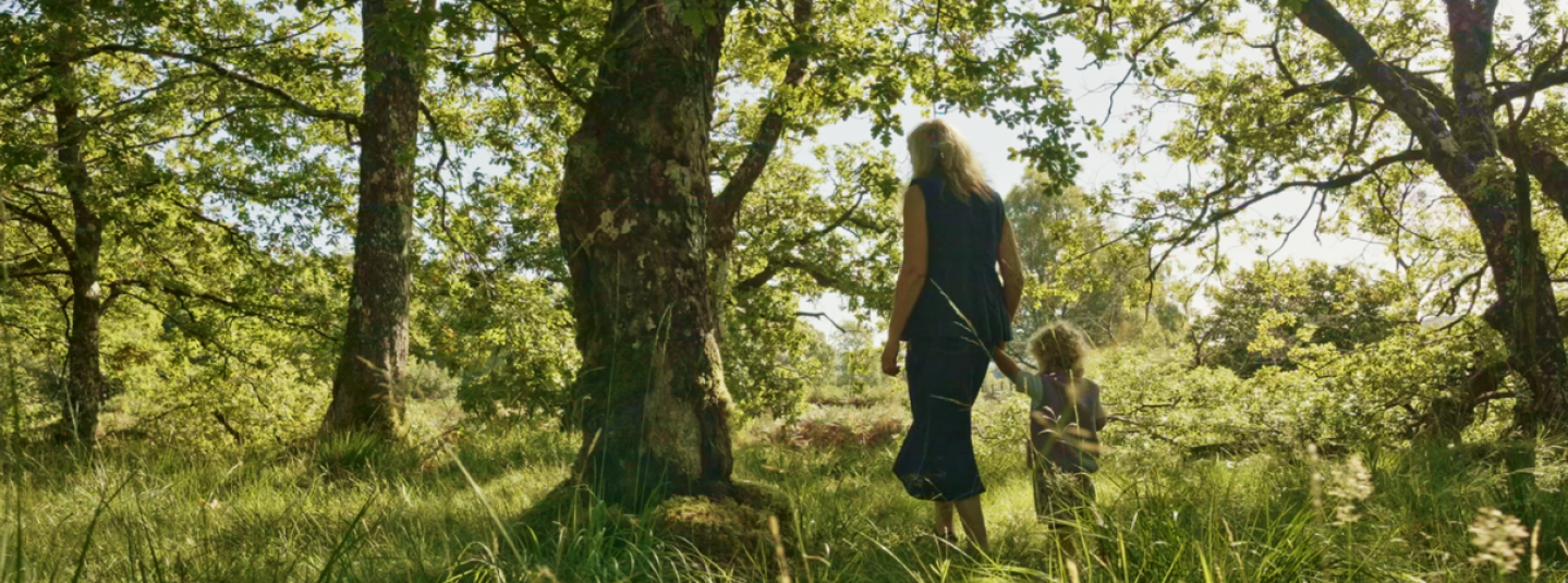 Sponsor a forest conservation project UK - Ardura Community Forest