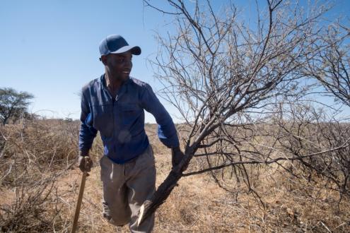 Rectella FSC-certified charcoal