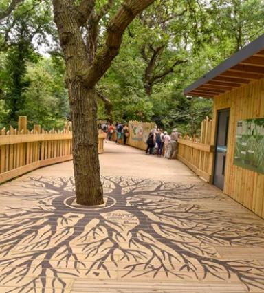 Gripsure FSC certified decking