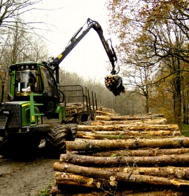 Wyre forest (c) FSC UK/C. Miller