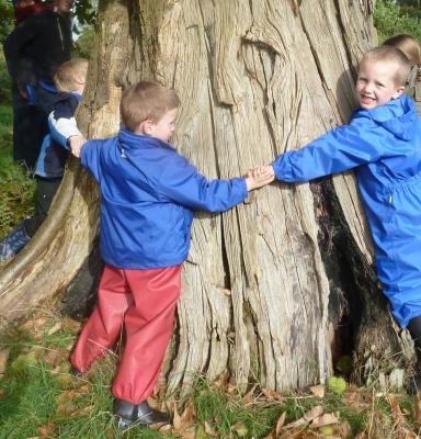 Children from Gaer Nursery and Infant School hugging a tree on FSC Friday