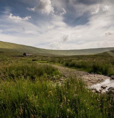 Snaizeholme (C) Woodland Trust