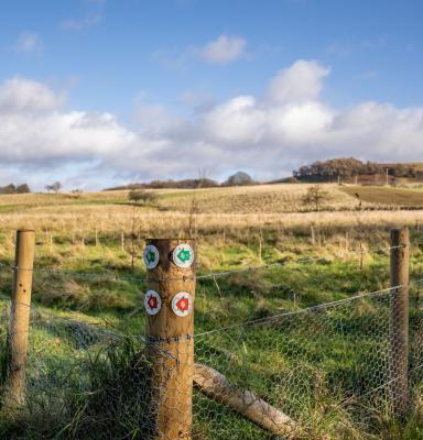 Brynau Farm, Neath tree planting (c) Ben Lee _WTML