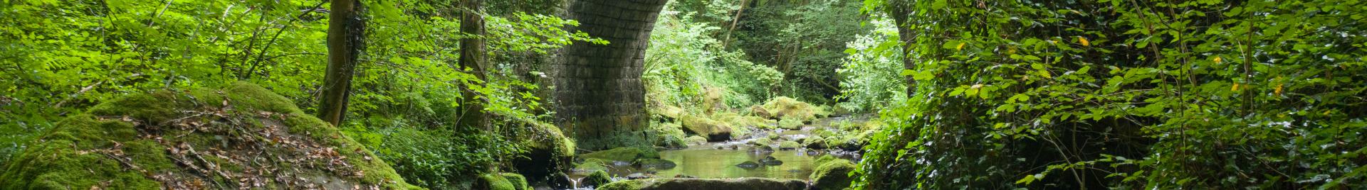 Image of stone bridge over small stream in woodland