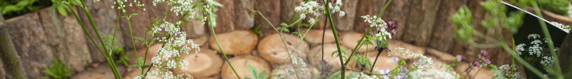 FSC UK RHS Chelsea Garden 2 (c) Matt Crossick