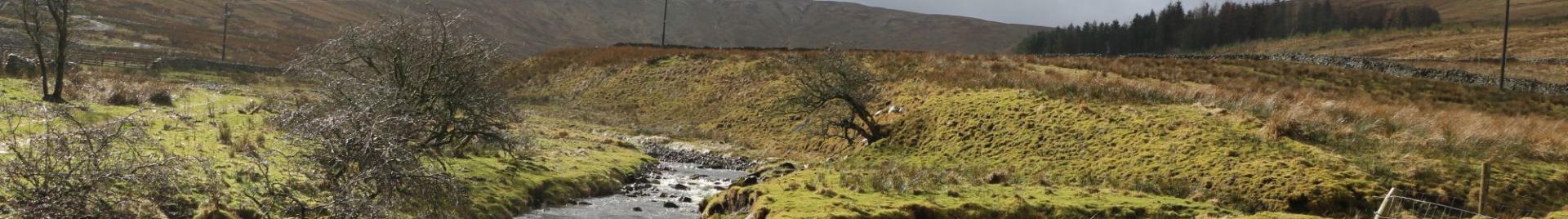 Snaizeholme Woodland Trust - River restoration