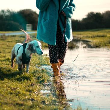 Joules yellow wellies in puddle