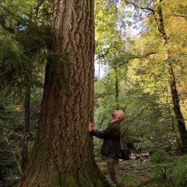 Dr Owen Davies, Forest Standards Manager